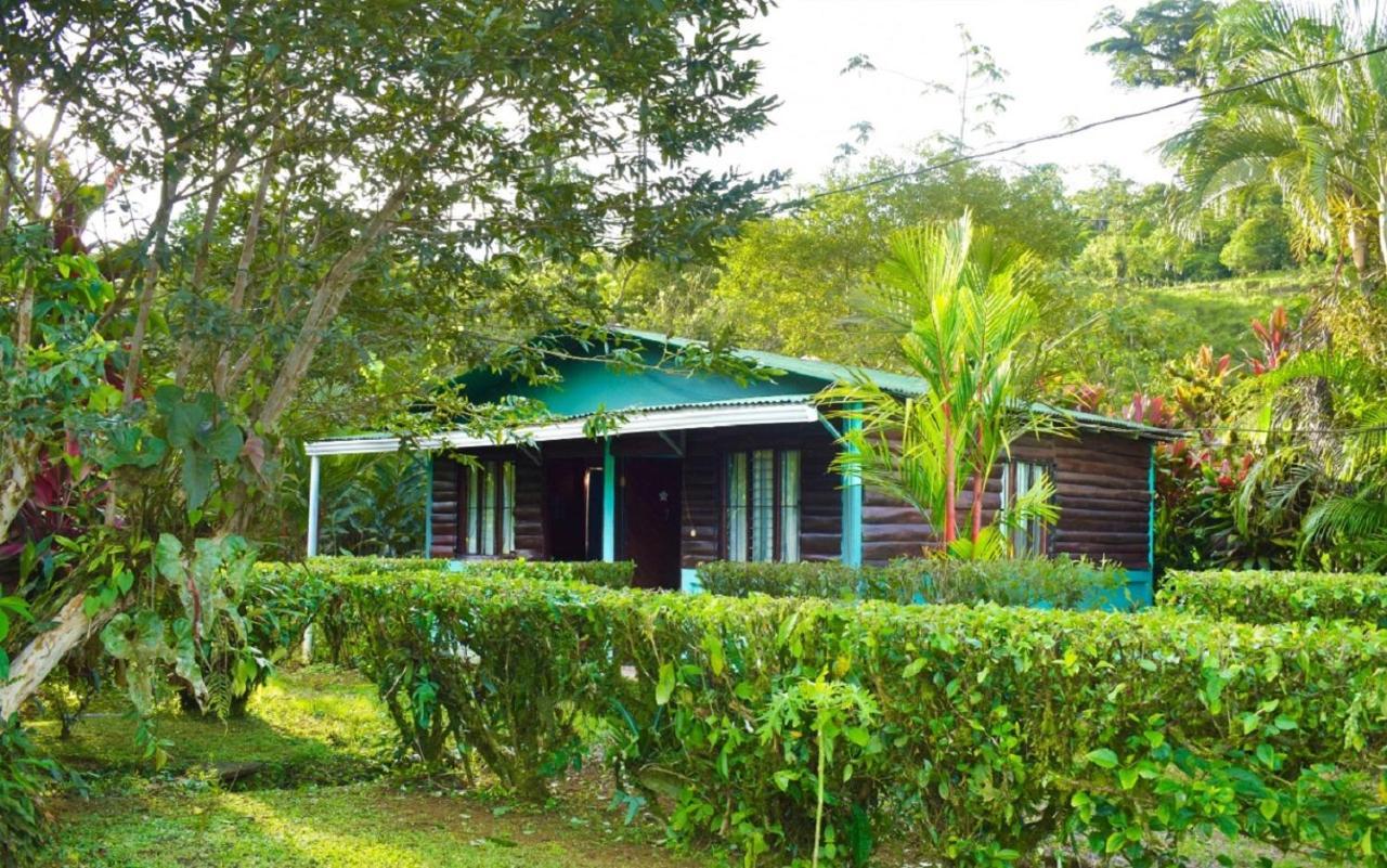 Cabinas Rio Celeste La Amistad Bed & Breakfast Luaran gambar