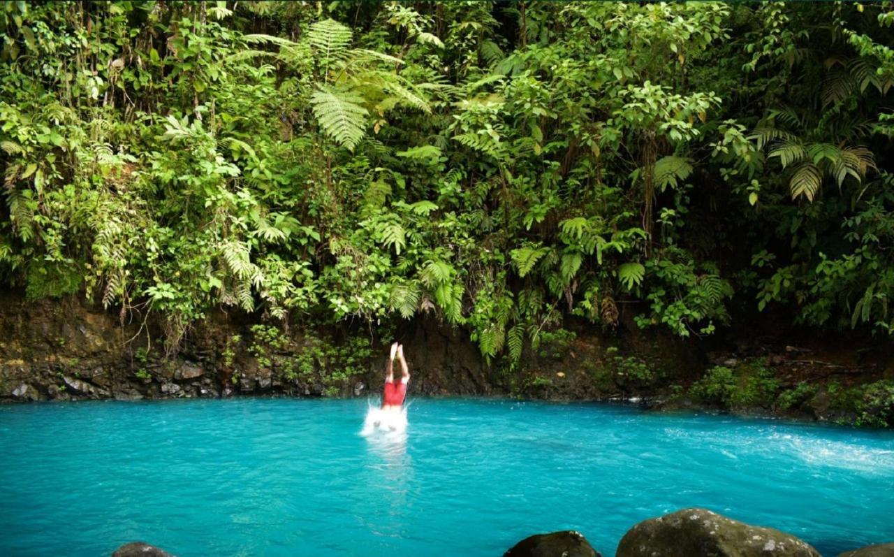 Cabinas Rio Celeste La Amistad Bed & Breakfast Luaran gambar