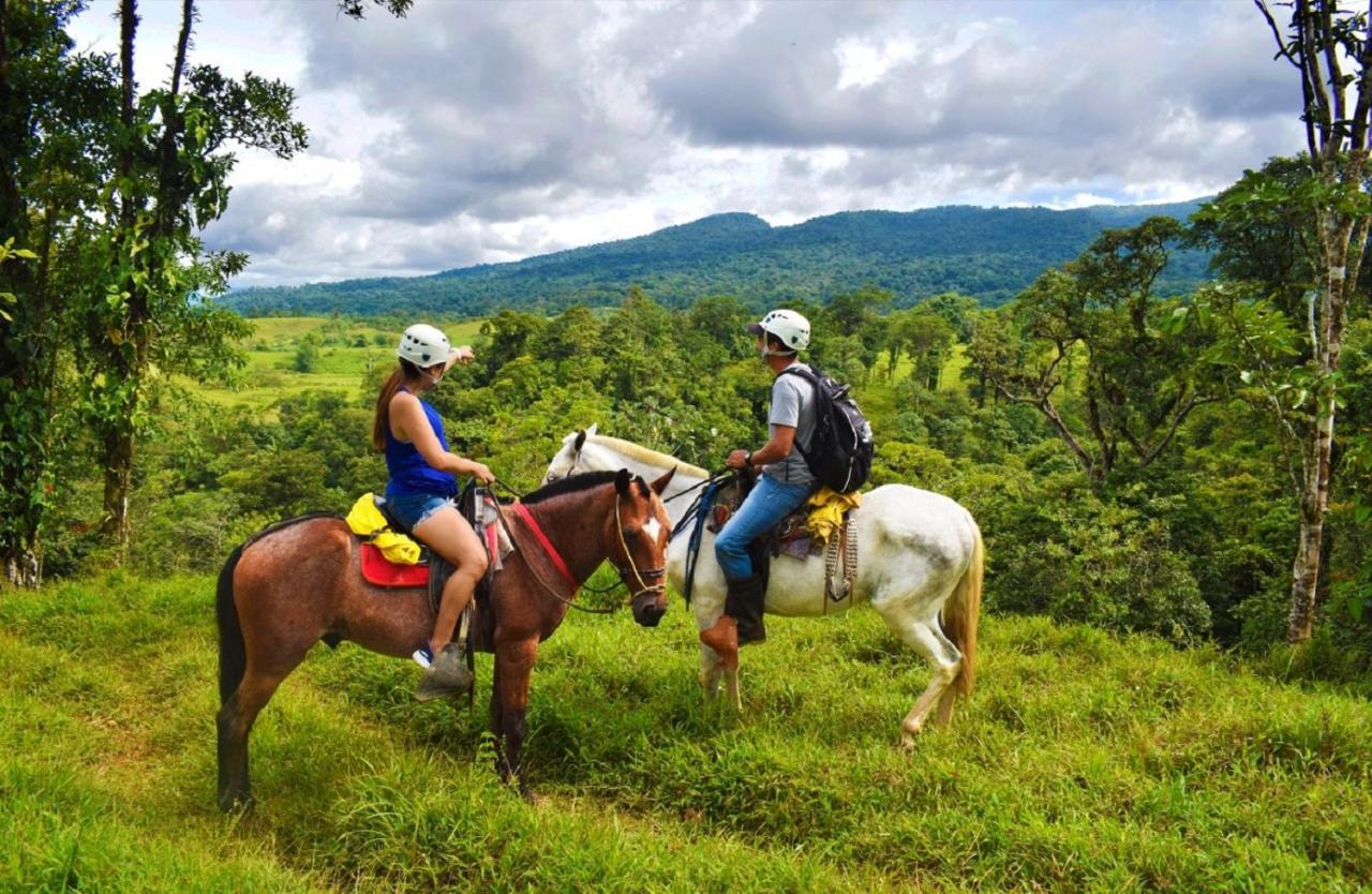 Cabinas Rio Celeste La Amistad Bed & Breakfast Luaran gambar