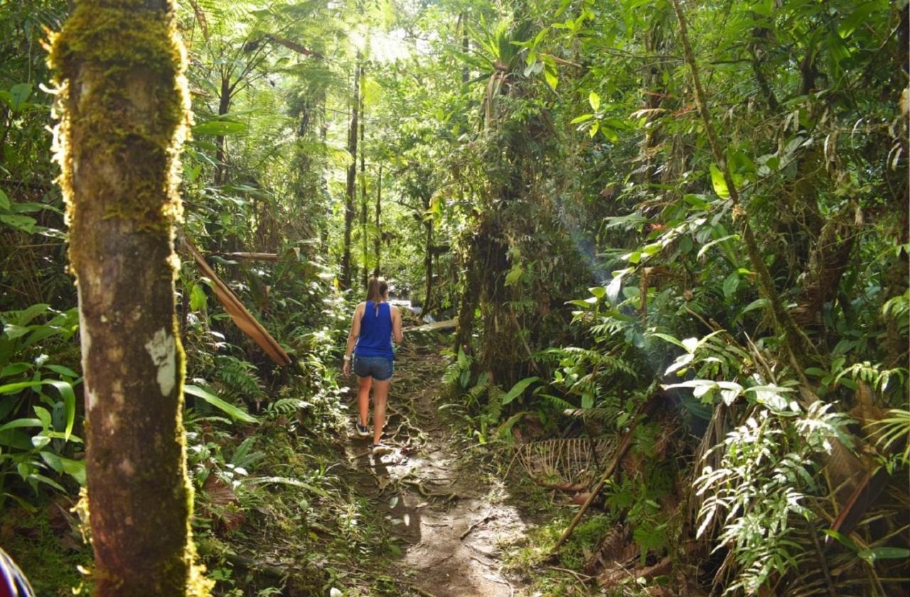 Cabinas Rio Celeste La Amistad Bed & Breakfast Luaran gambar