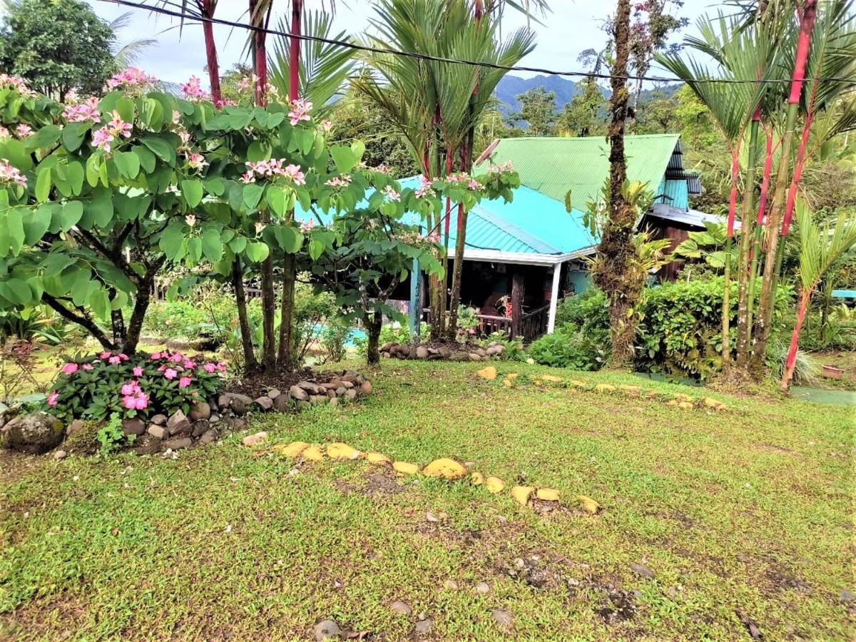 Cabinas Rio Celeste La Amistad Bed & Breakfast Luaran gambar