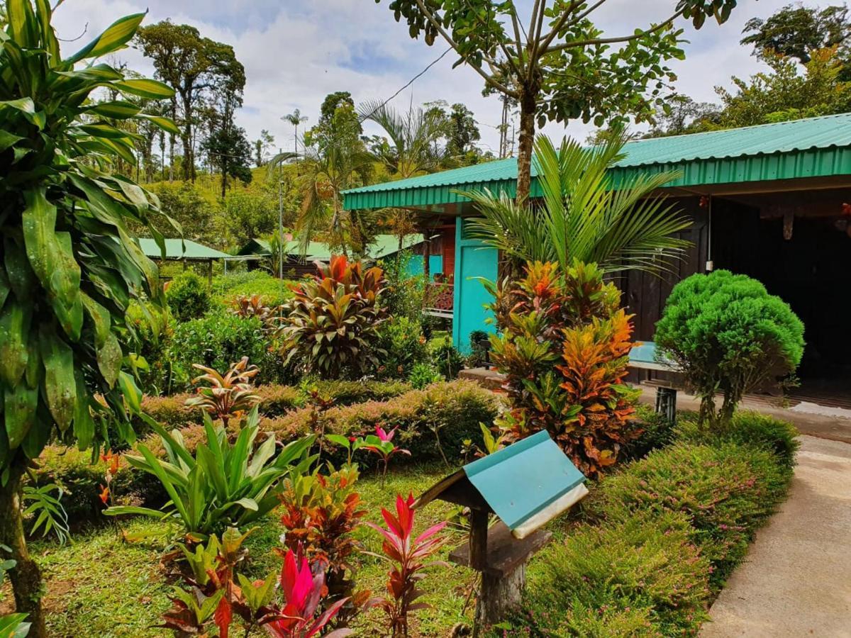 Cabinas Rio Celeste La Amistad Bed & Breakfast Luaran gambar