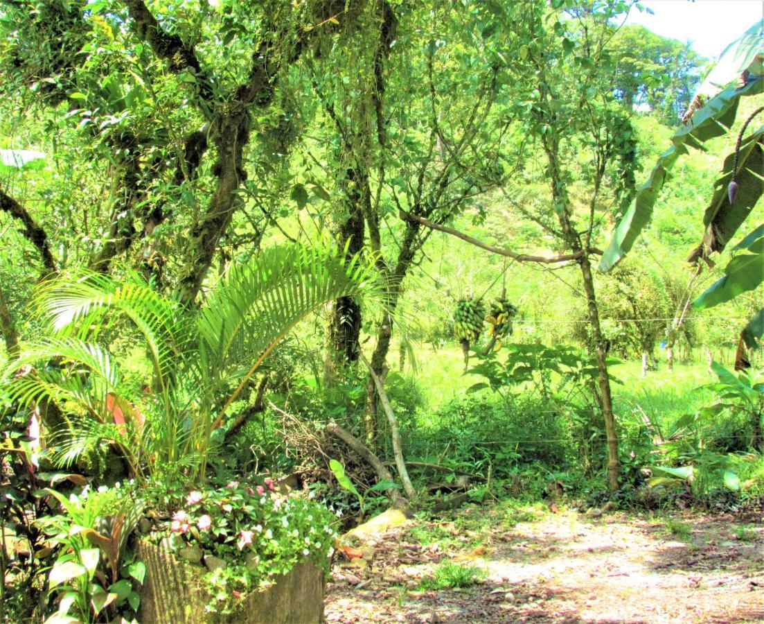 Cabinas Rio Celeste La Amistad Bed & Breakfast Luaran gambar