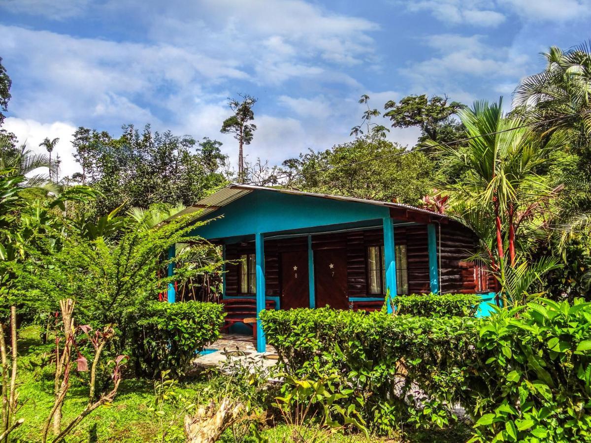 Cabinas Rio Celeste La Amistad Bed & Breakfast Luaran gambar