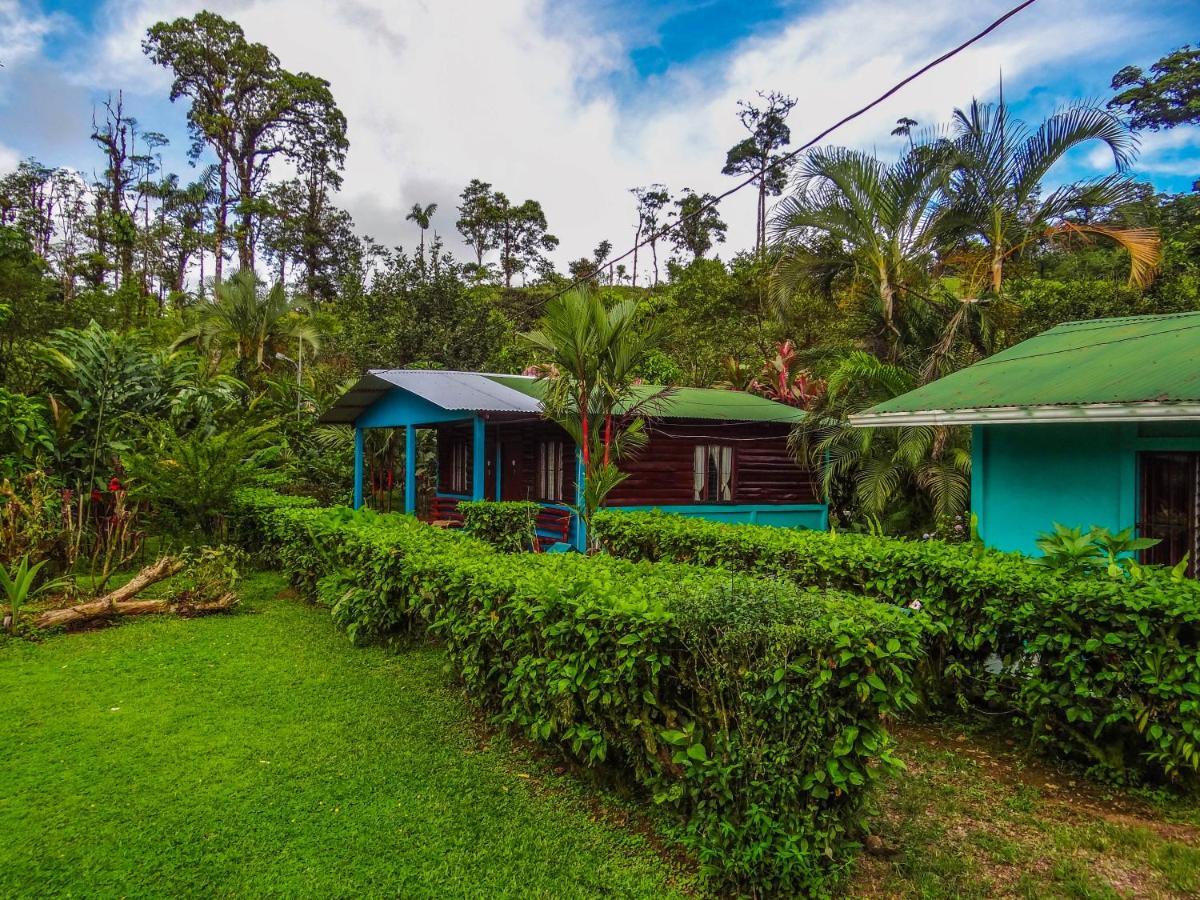 Cabinas Rio Celeste La Amistad Bed & Breakfast Luaran gambar