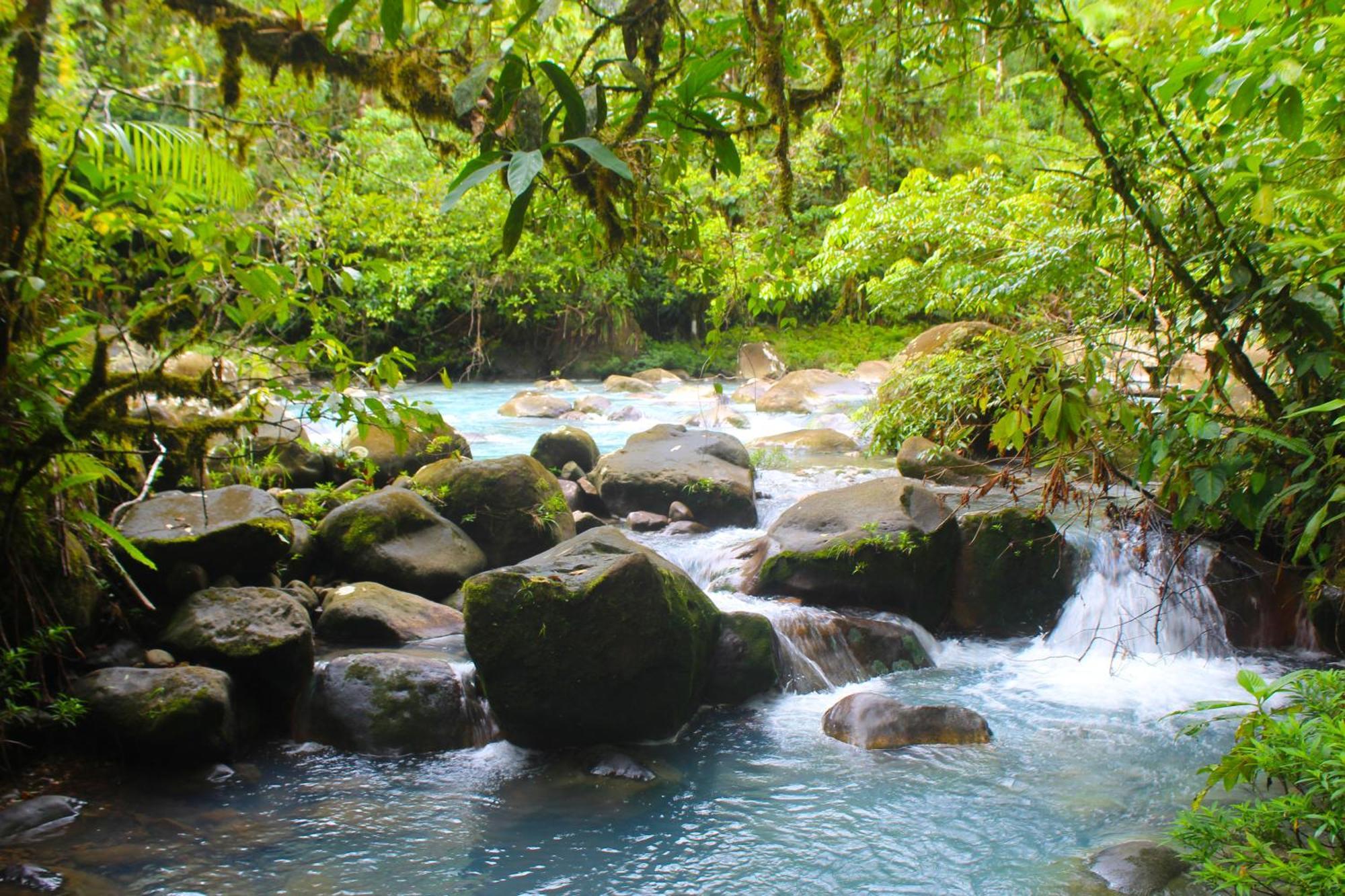 Cabinas Rio Celeste La Amistad Bed & Breakfast Luaran gambar