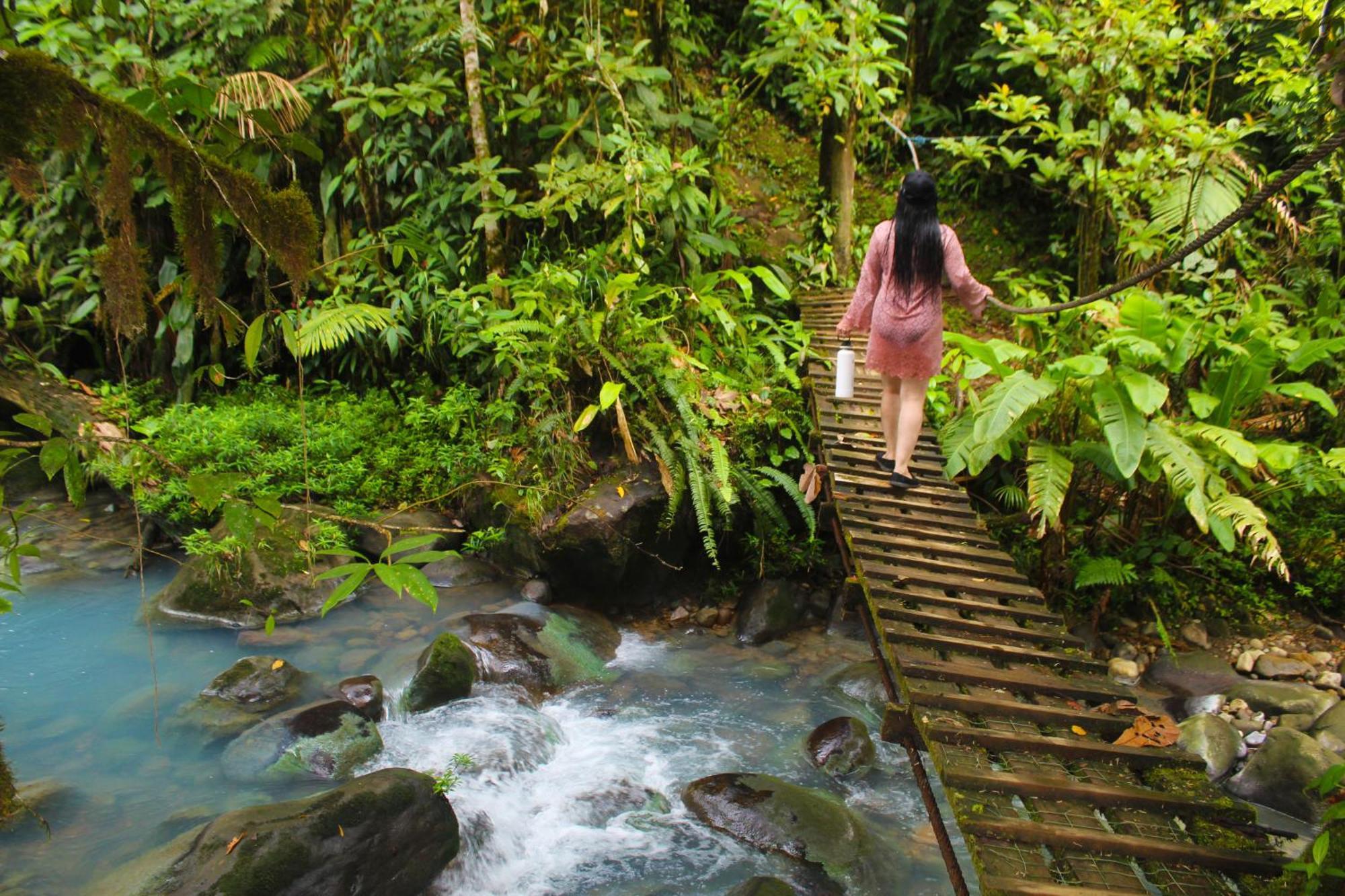 Cabinas Rio Celeste La Amistad Bed & Breakfast Luaran gambar