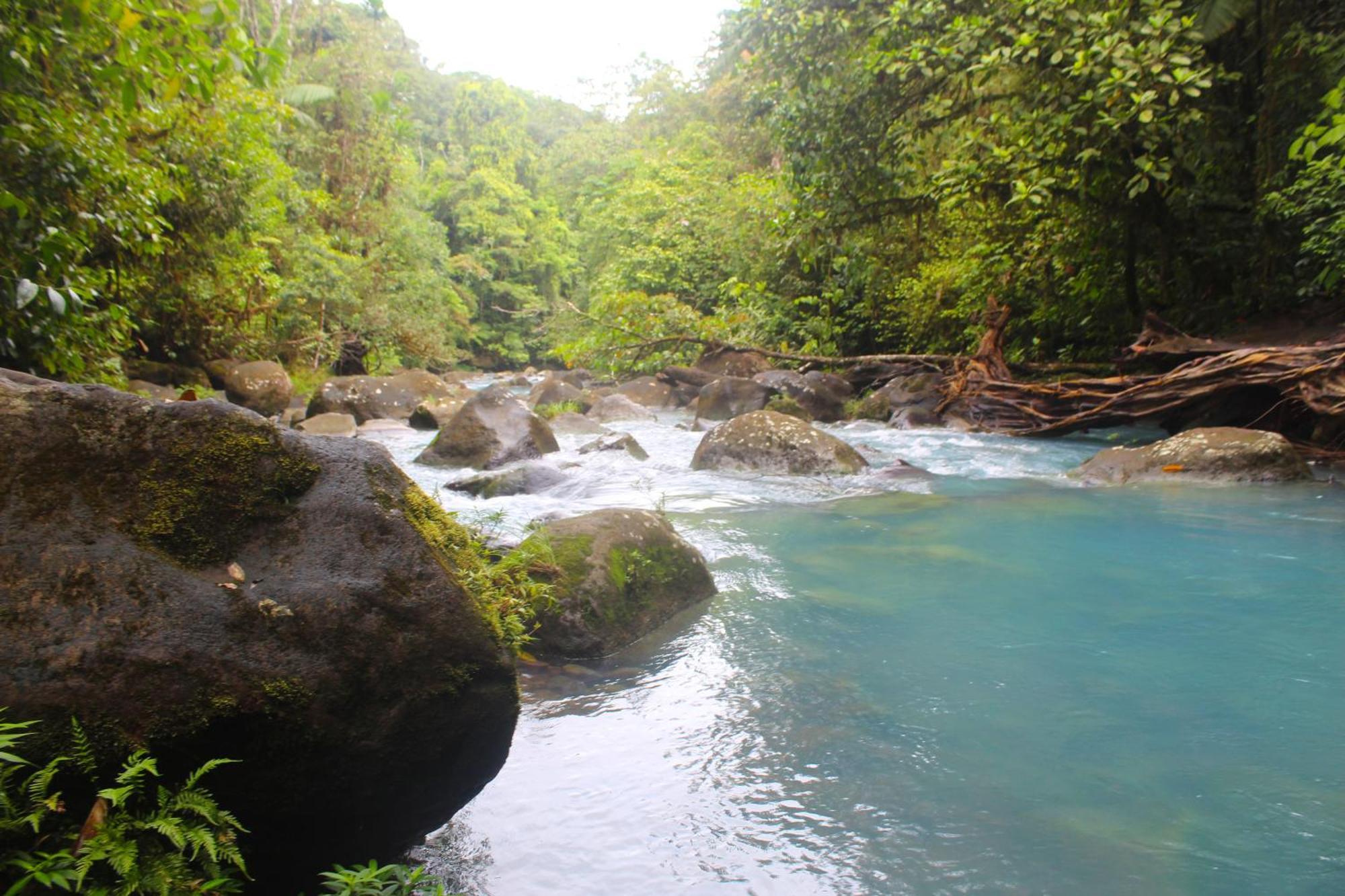 Cabinas Rio Celeste La Amistad Bed & Breakfast Luaran gambar