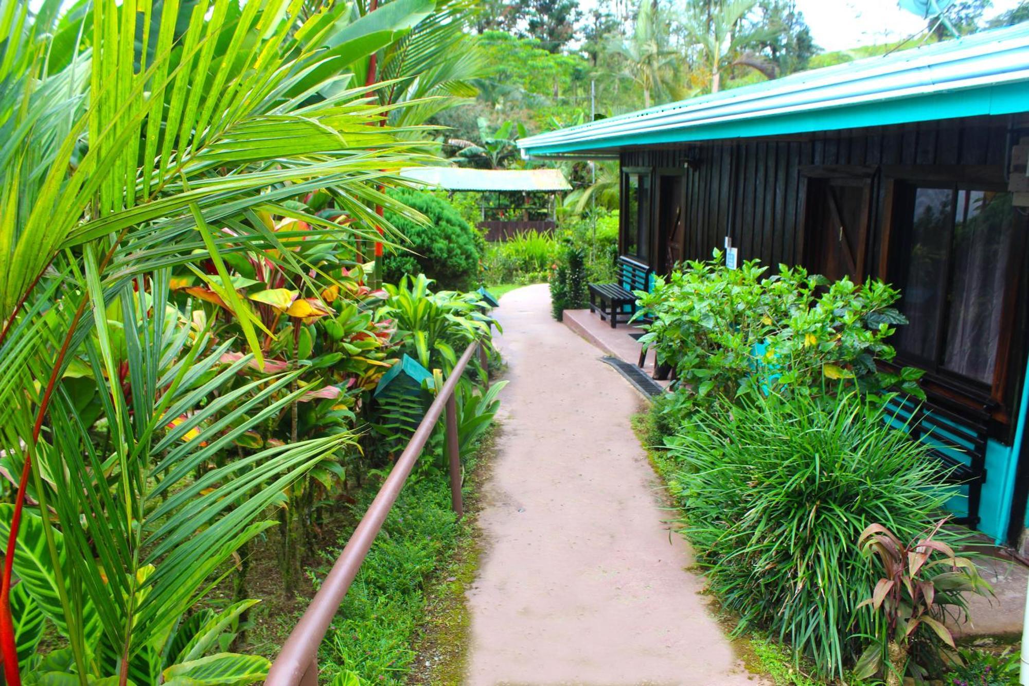 Cabinas Rio Celeste La Amistad Bed & Breakfast Luaran gambar