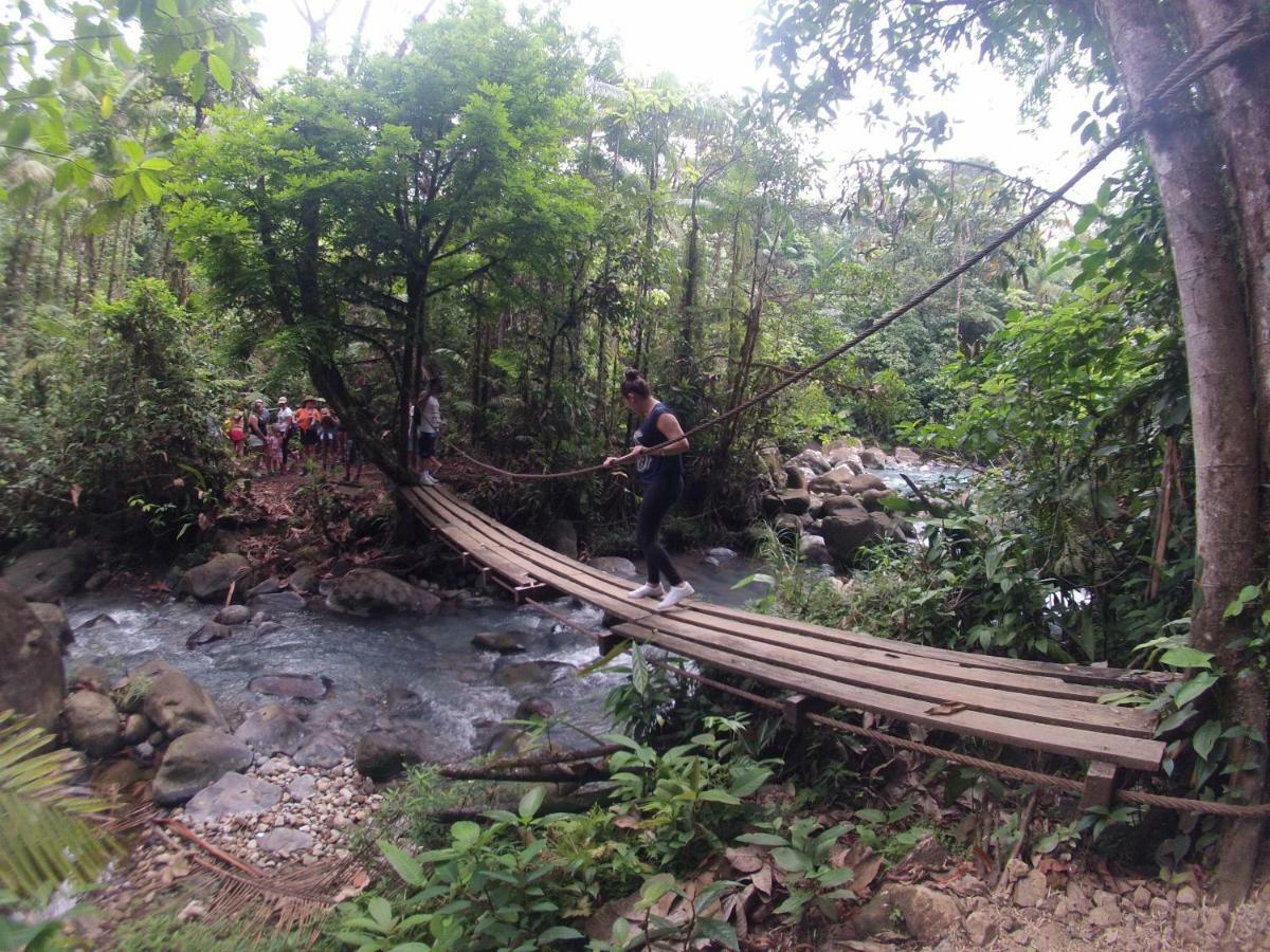 Cabinas Rio Celeste La Amistad Bed & Breakfast Luaran gambar