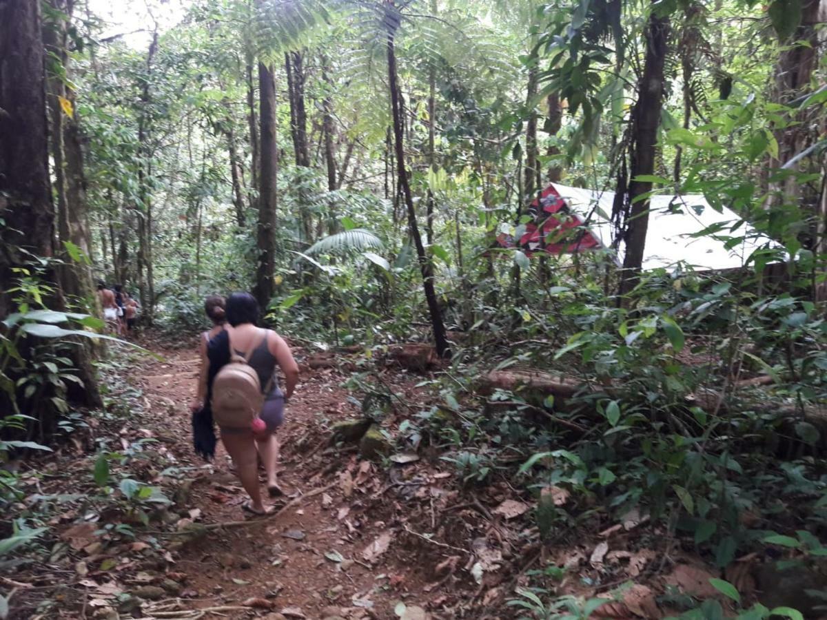 Cabinas Rio Celeste La Amistad Bed & Breakfast Luaran gambar